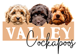 Valley Cockapoos Logo