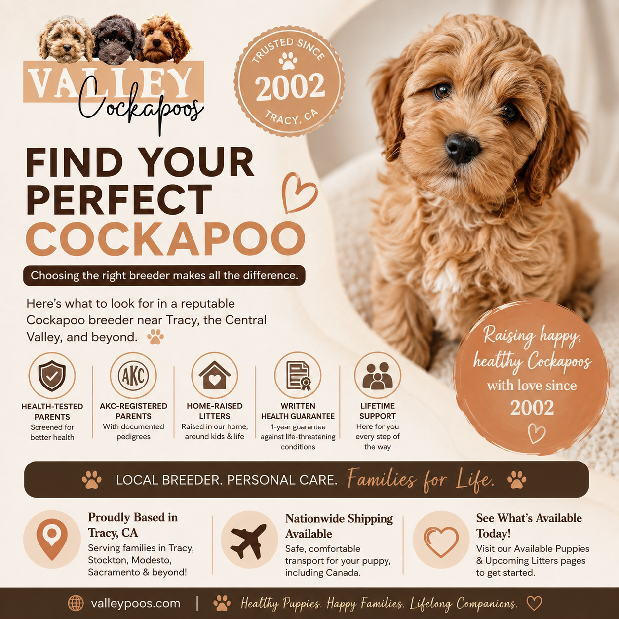How to Find a Reputable Cockapoo Breeder in Tracy